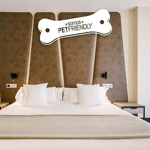 Standaard Kamer met een King Size Bed